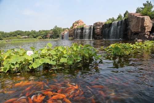 ת���������� ��˶.JPG